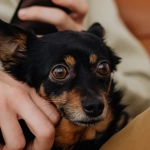 Схема программы лояльности казино без депозита с техническими элементами