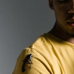 Ответственный подход к азартным играм взрослого человека