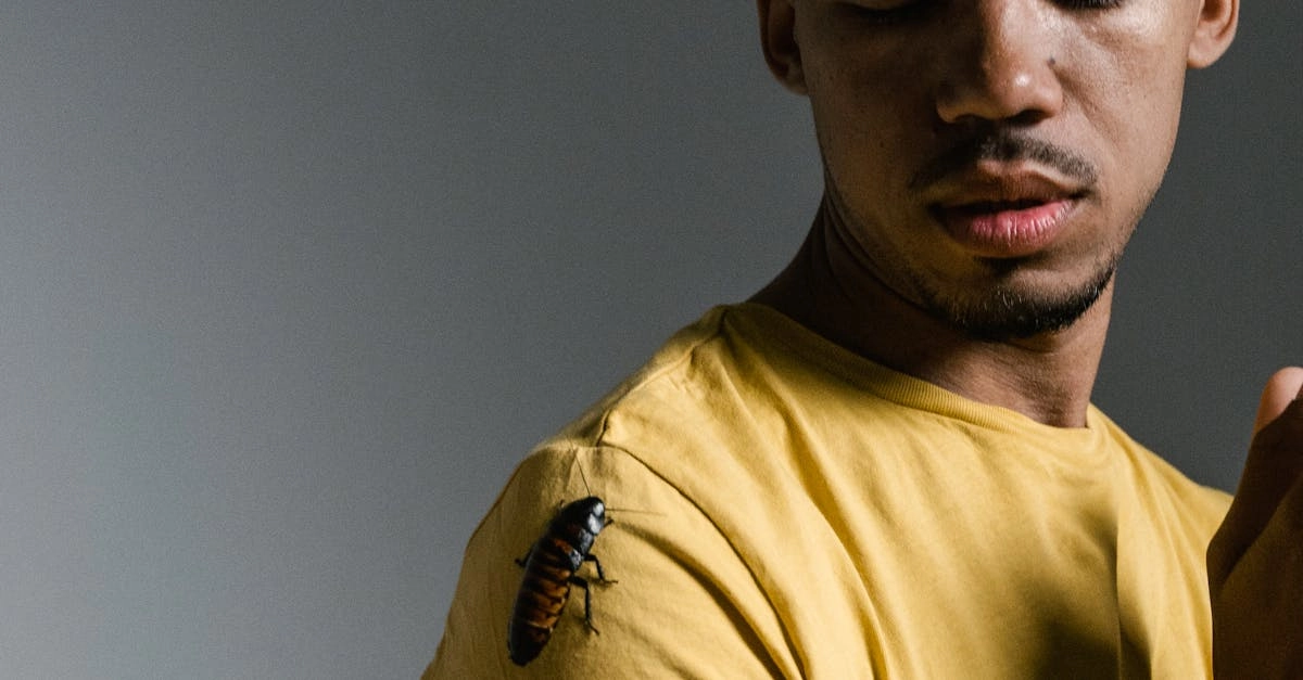 Ответственный подход к азартным играм взрослого человека